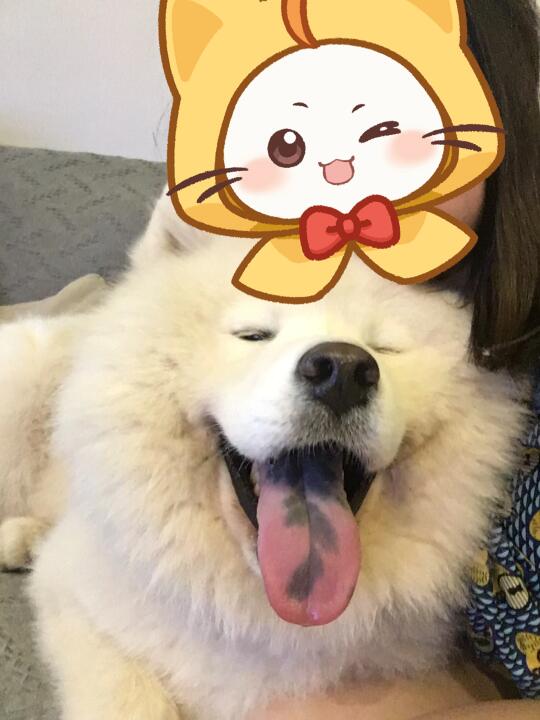 关于我为什么叫拉菲