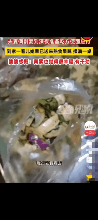 “平凡又暖心！”河南周口麦收时节，忙活到深夜的老两口满身尘土，疲惫归家，推门就吃