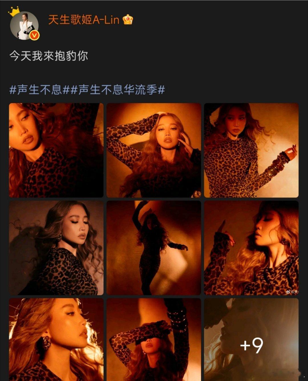 ALin豹走全场ALin野性美学 野性与美感并存，这舞台表现力真的无人能及 