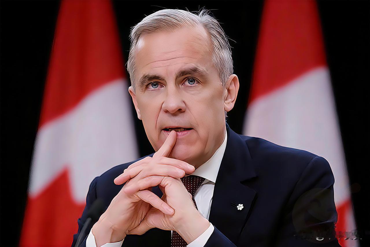 最新快讯！

加拿大宣布了

12月9日，加拿大联邦当局宣布启动**“加拿大全球