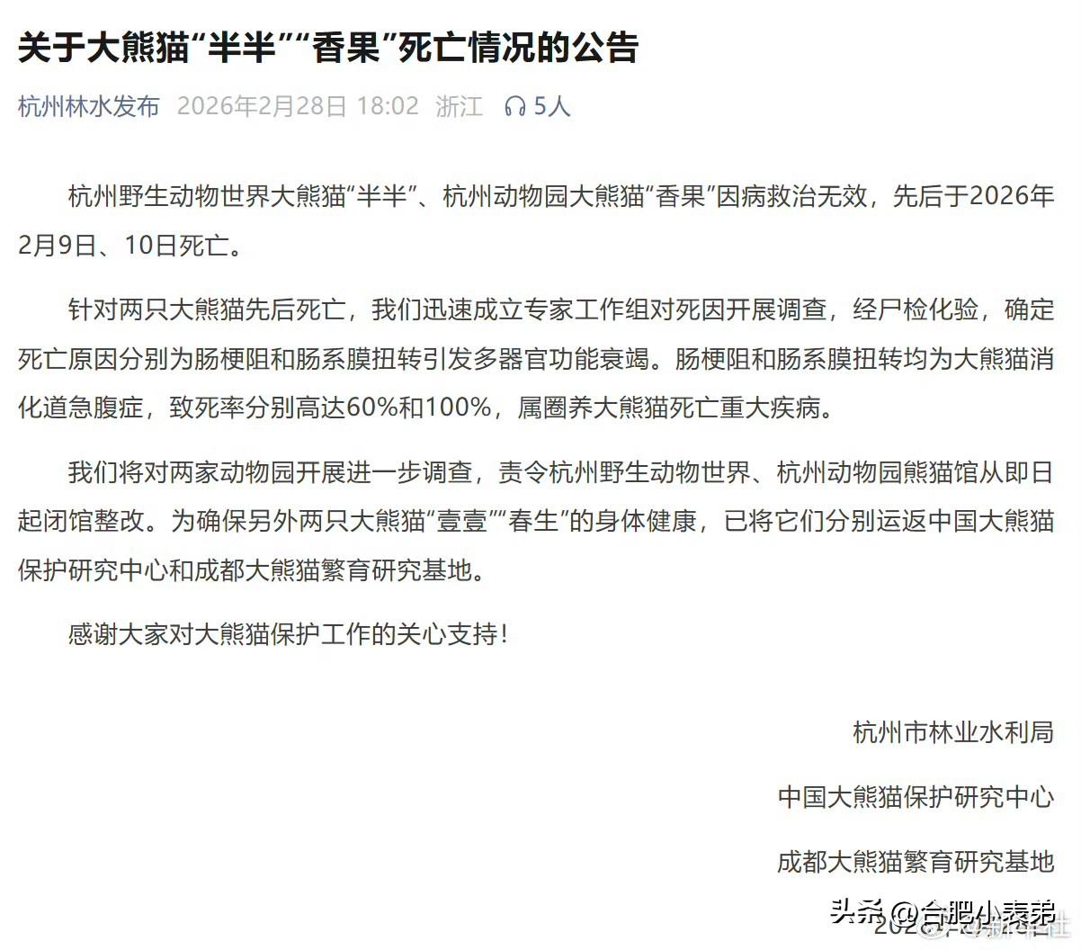 尸检确认：半半因肠梗阻、香果因肠系膜扭转引发多器官衰竭，均为致死率极高的消化道急