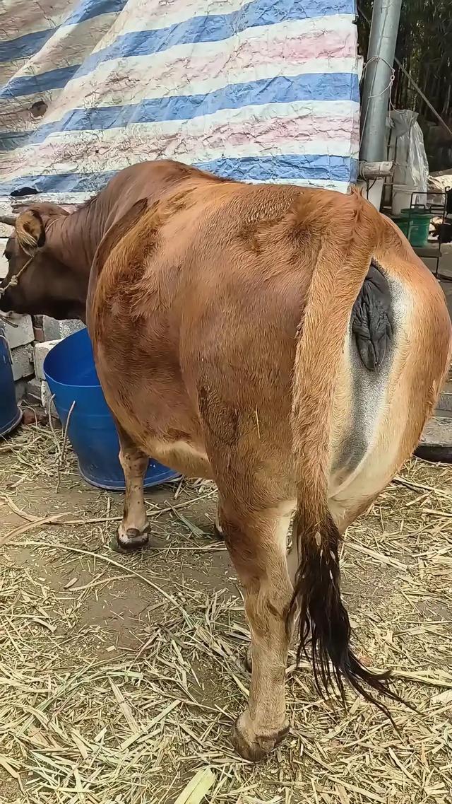 李刚受贿1.02亿余元 叫这个名儿的都这么厉害嘛 