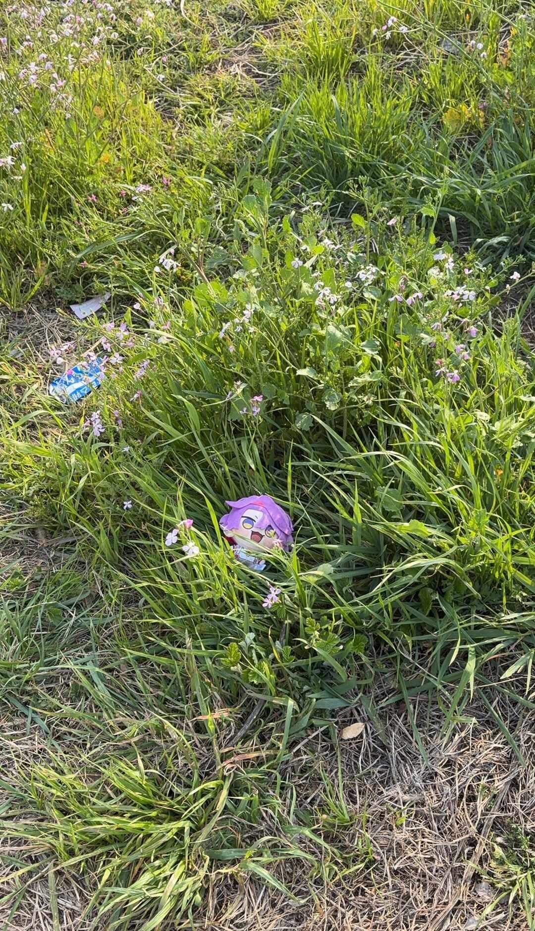 谁的娃丢了，助力宝宝回家
济州岛