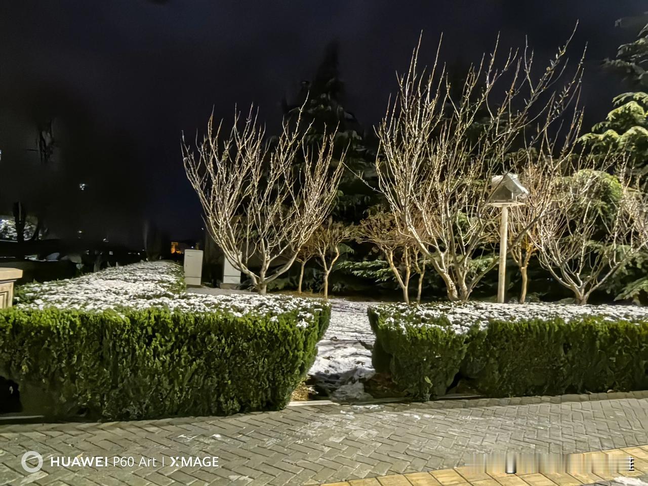 分享一下你拍过的雪景