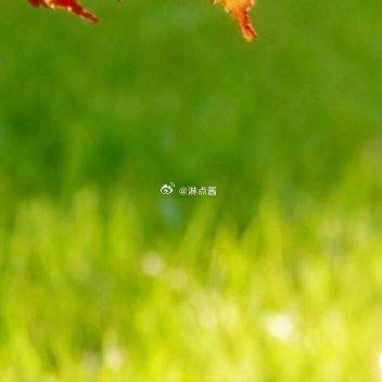 每日一善 每日一善 阳光信用 黄色的树林里分出两条路可惜我不能同时去涉足，我在那