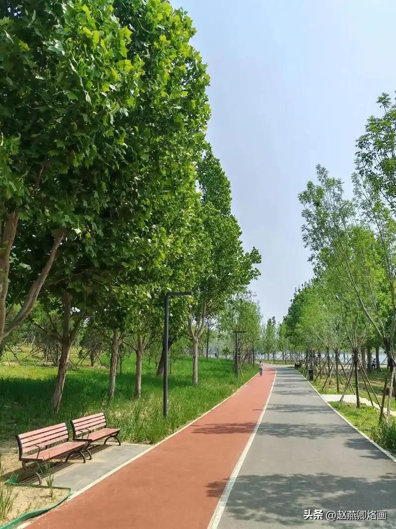 今年春天最想实现的心愿就是春游去大自然走走，享受来自大自然给予的馈赠。