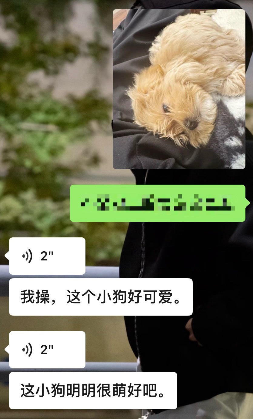 我的闺蜜好爱奶茶