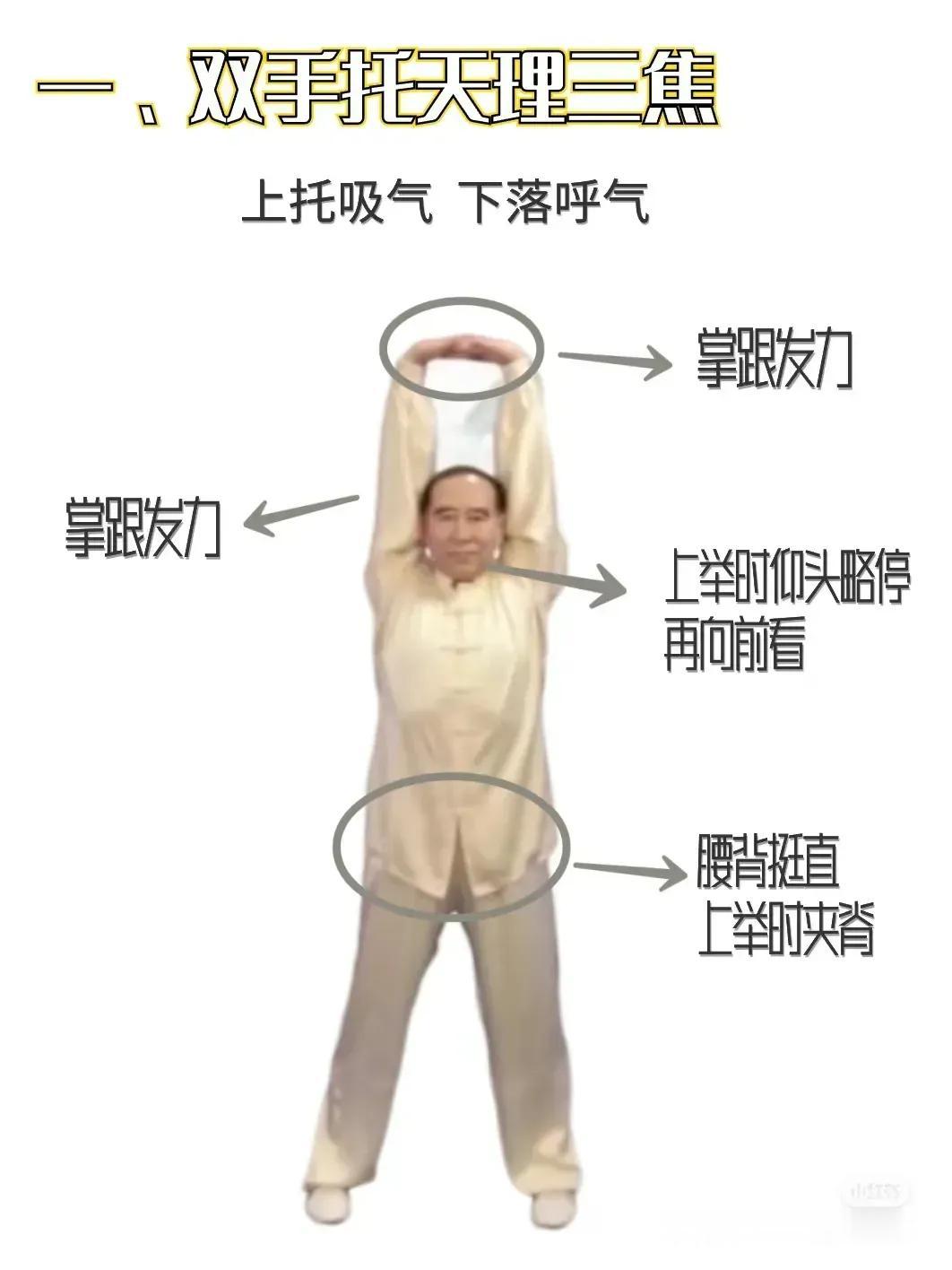 终于，我找到了这篇详尽至极的八段锦教程，迫不及待要与大家分享！经过近两个月的实践
