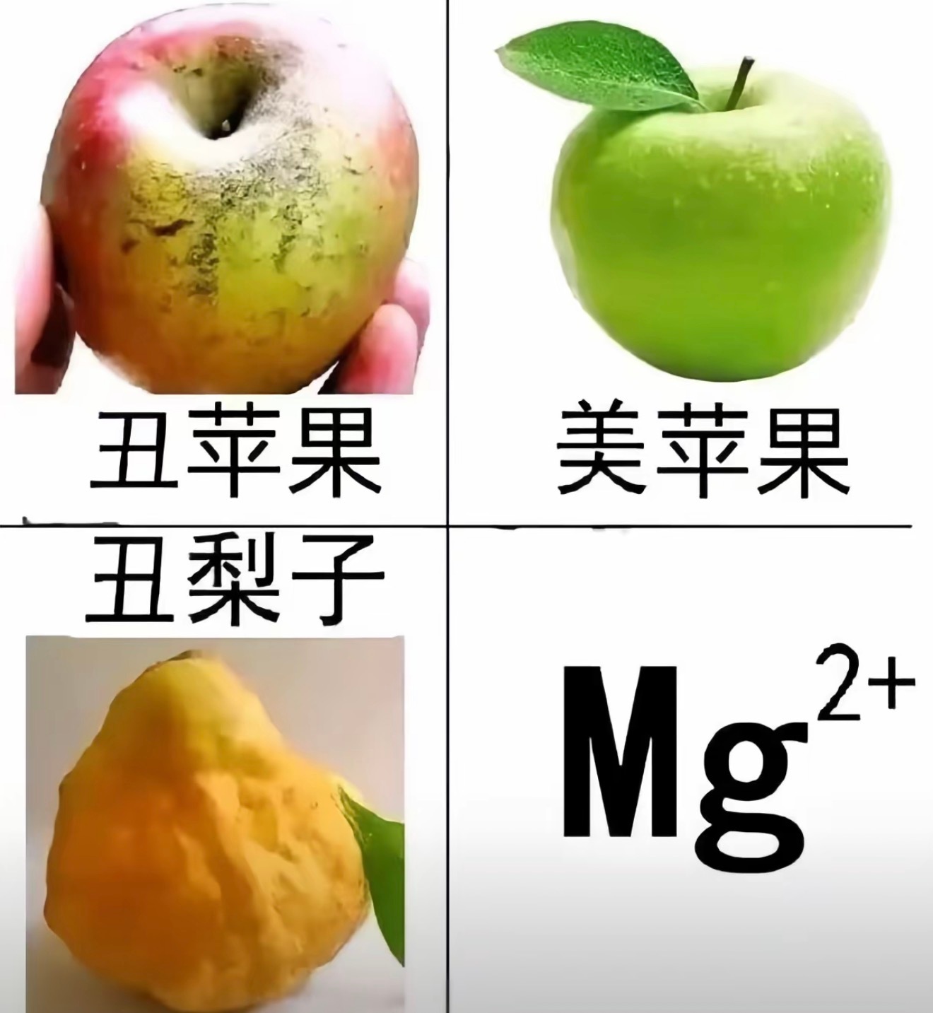 🆘 ​​​