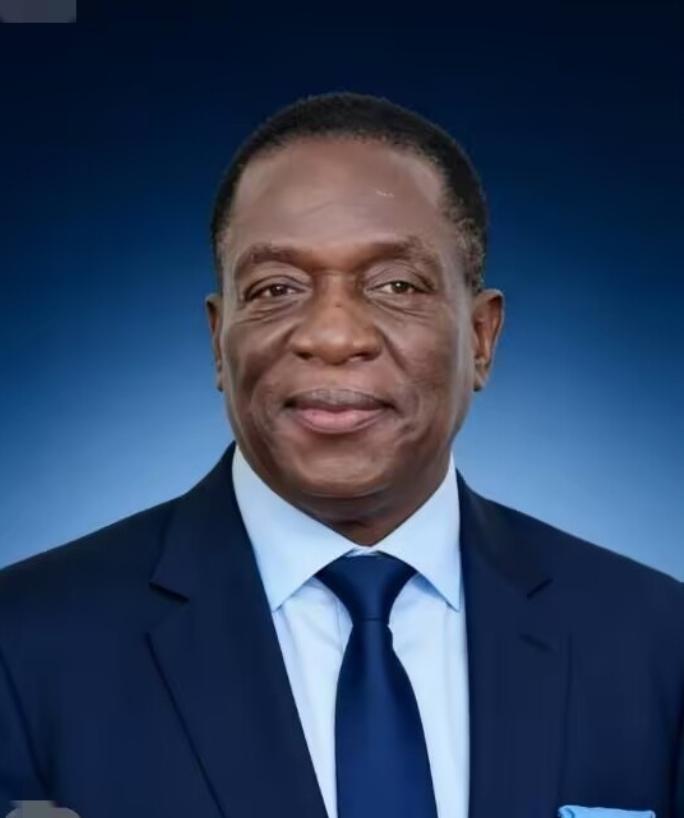 前脚巴拿马不顾中方反对，强行接管了巴拿马港口，后脚津巴布韦突然宣布暂停锂矿出口。