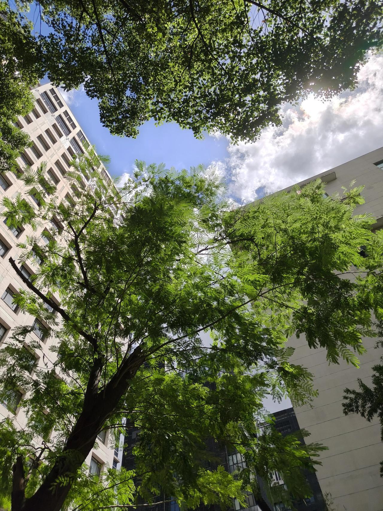 运气，总是偏爱长期坚持的人。
一生很长，一生又太短。
只有咬定青山不放松，
才能