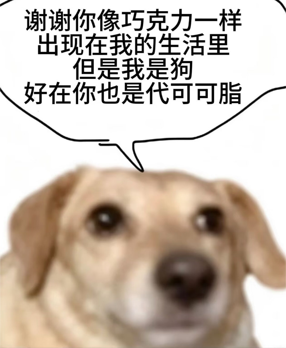 我是北极能官方麦麸对象❤️网页链接  ❄️后援会网页链接网页链接网页链接网页链接