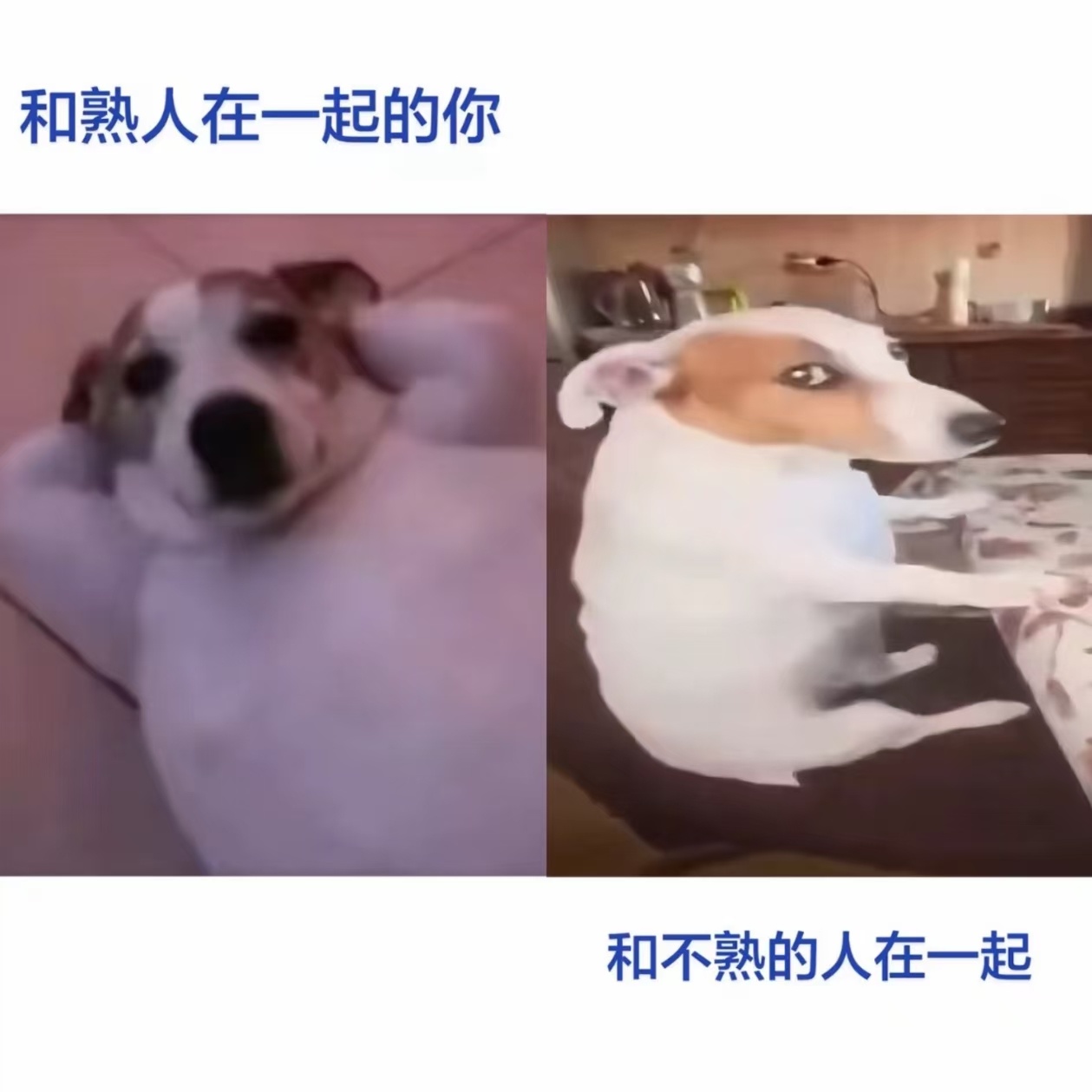 分享图片 