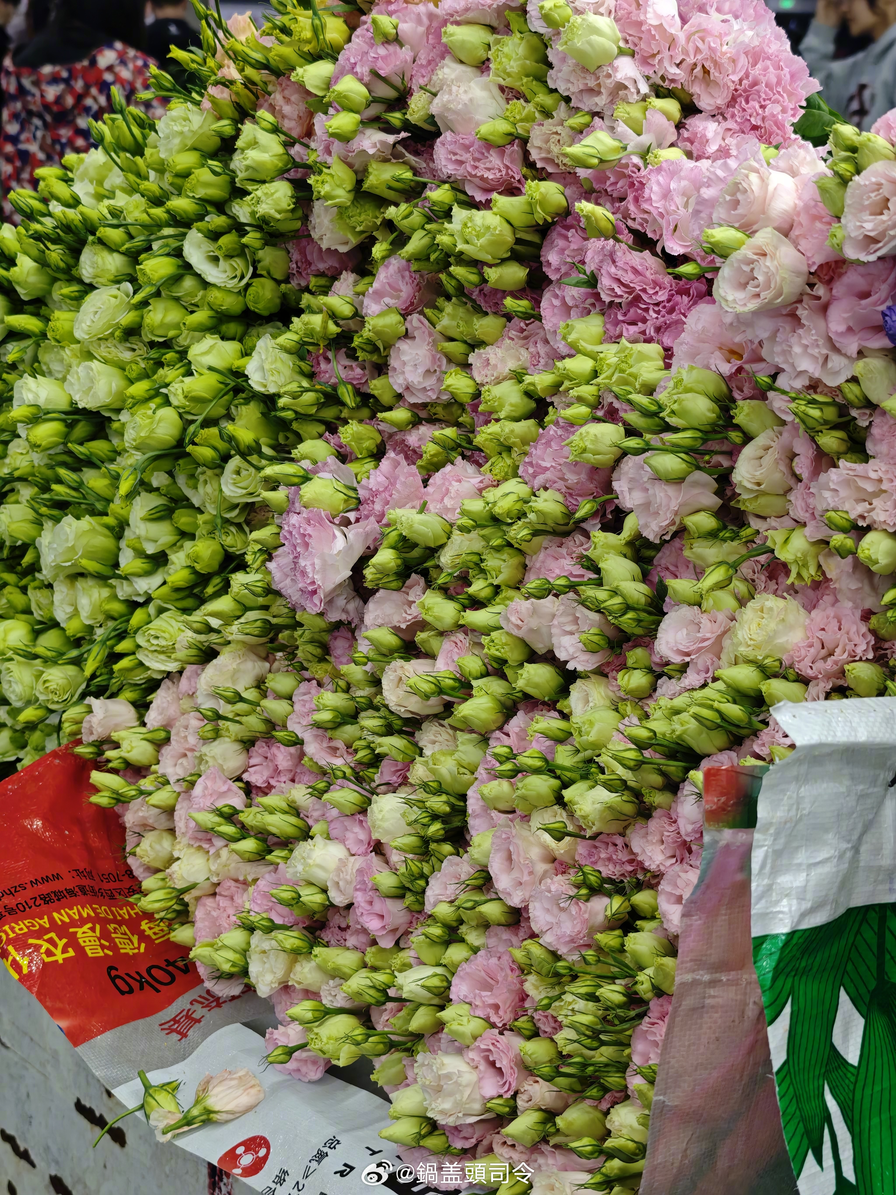 #打卡中国# 在昆明，浪漫是有实体的！作为亚洲第一的鲜切花市场，斗南有着自己专属