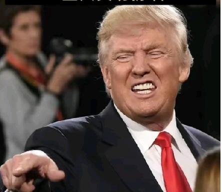 特朗普重磅出击！
2025年10月8日中东和平协议落定，
诺贝尔奖近在咫尺？
