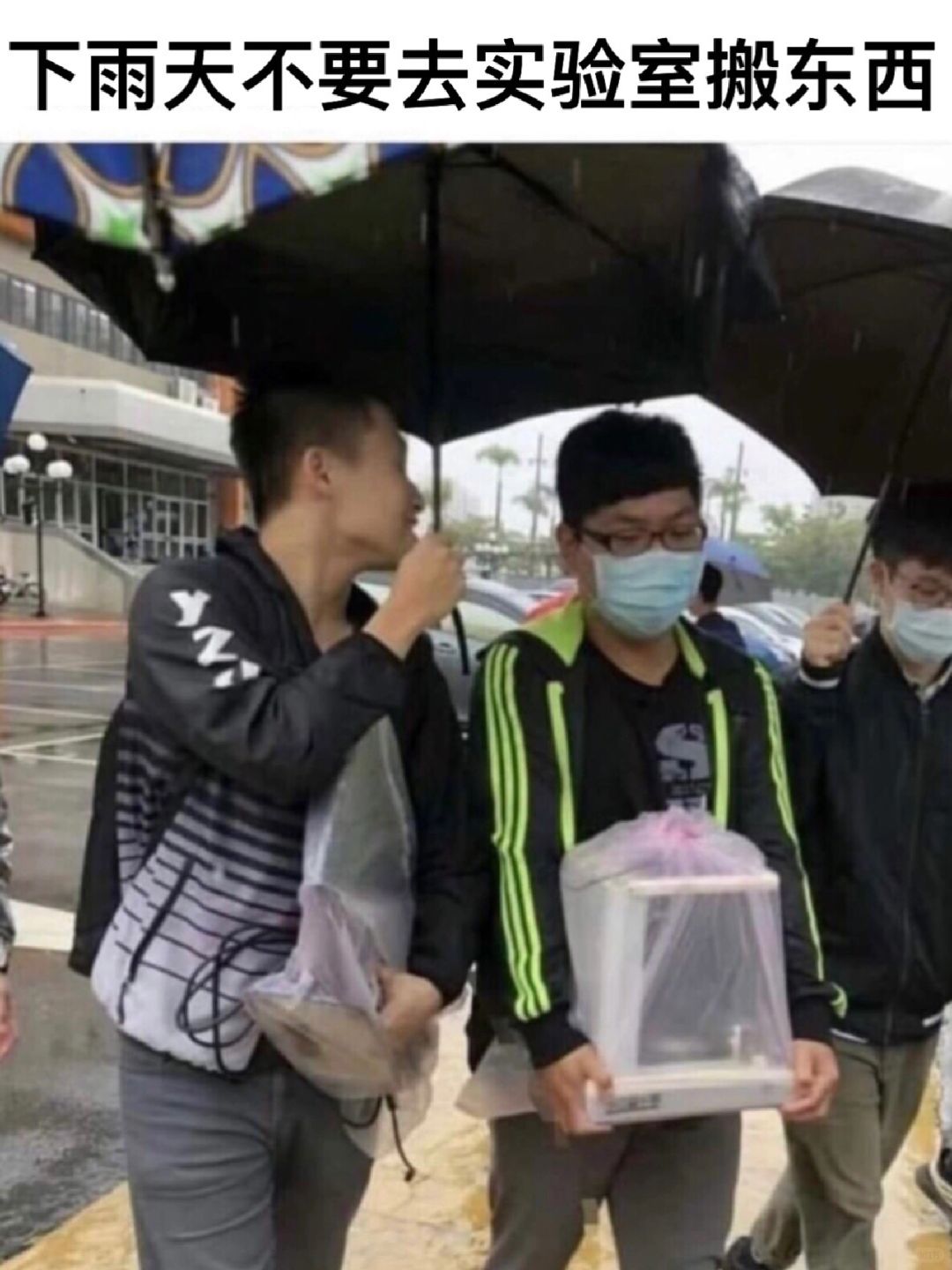 场面太悲哀了