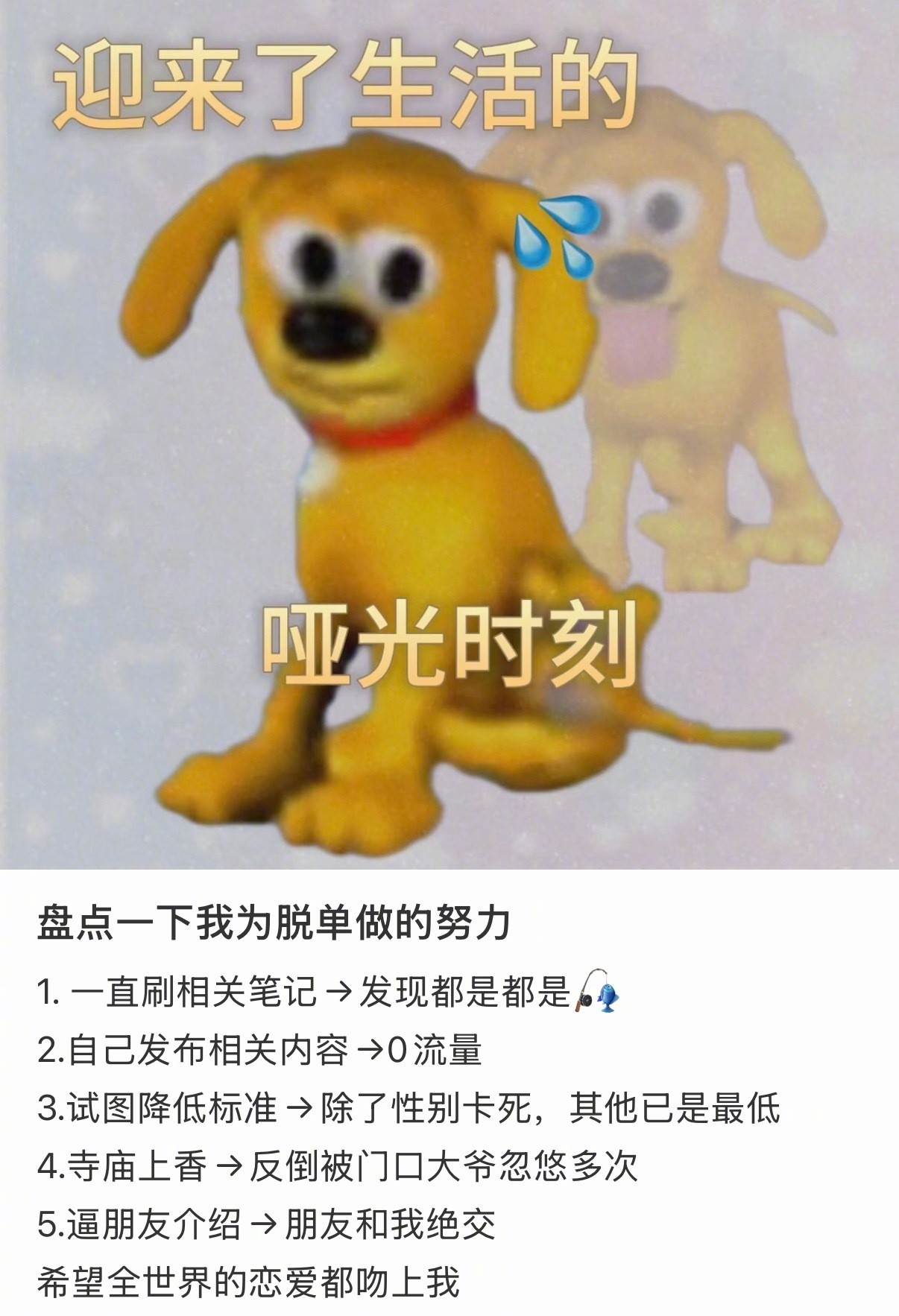 盘点一下我为脱单做的努力 