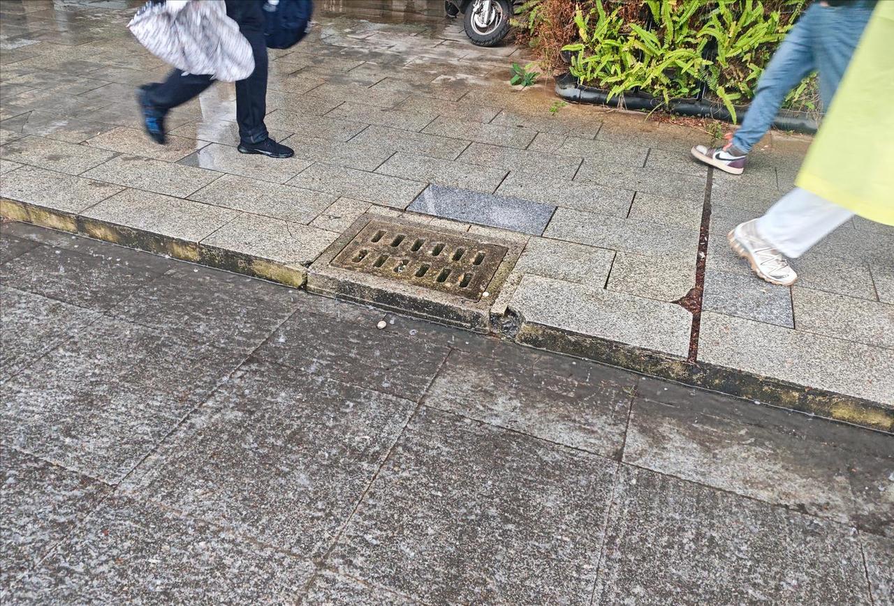 这个下水道，难道是只防暴雨，不防小雨？小雨就不用排了？
有网友调侃：这叫雨水排口