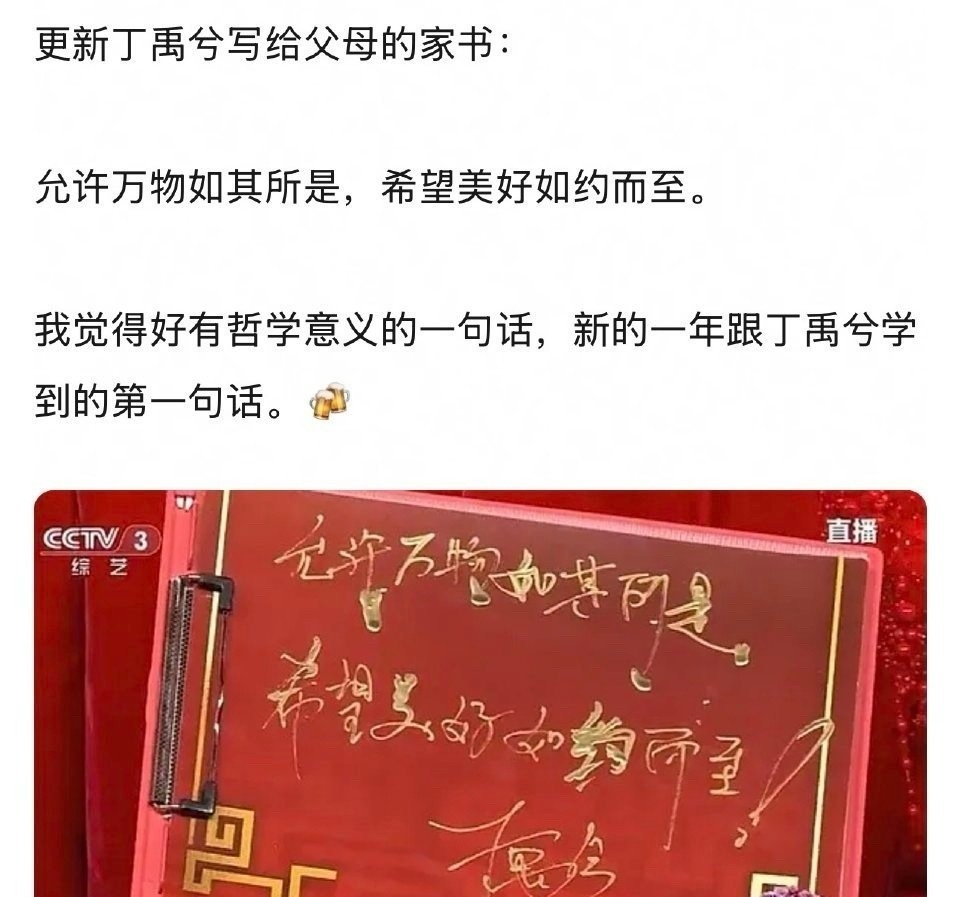 丁禹兮采访被网友夸了。 