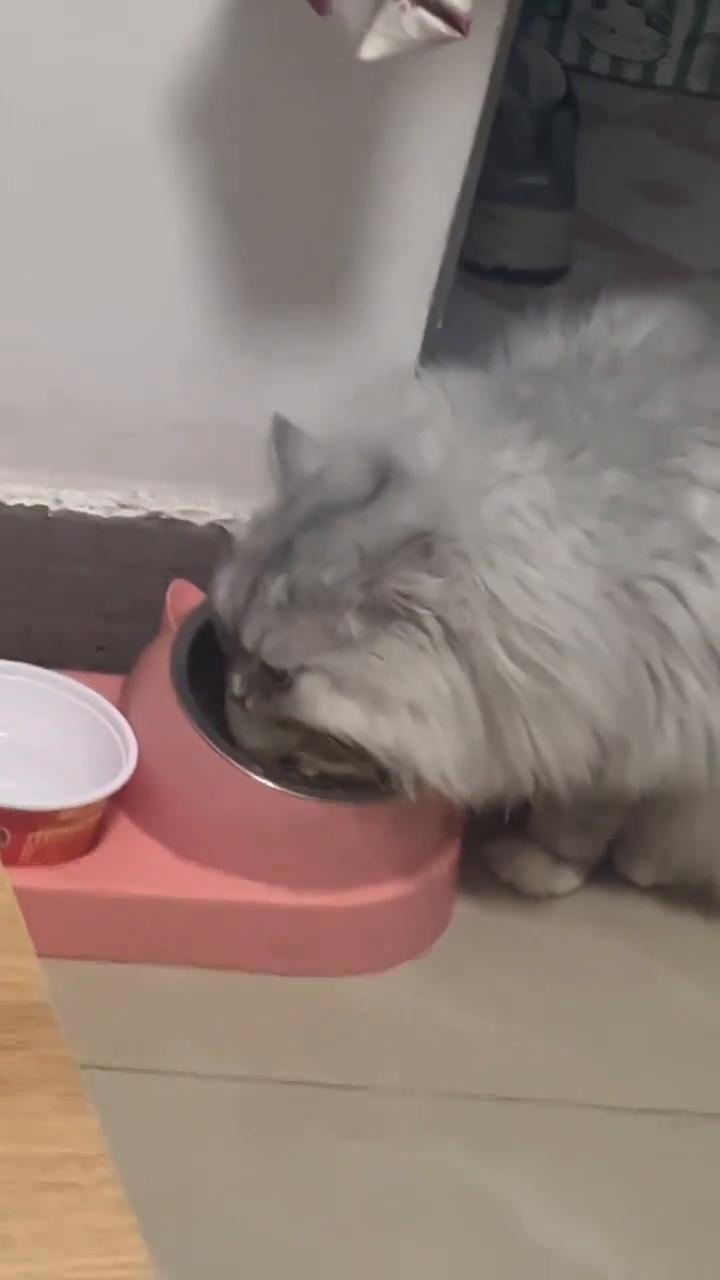 这位姐姐，我有个美好的消息要告诉你，你要是再划走，那我可帮不了你。你看屏。