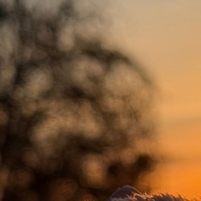 0000信任，是冬日的一缕阳光，使饥寒交迫的人感到温暖和芳香；信任，使沙漠的一口