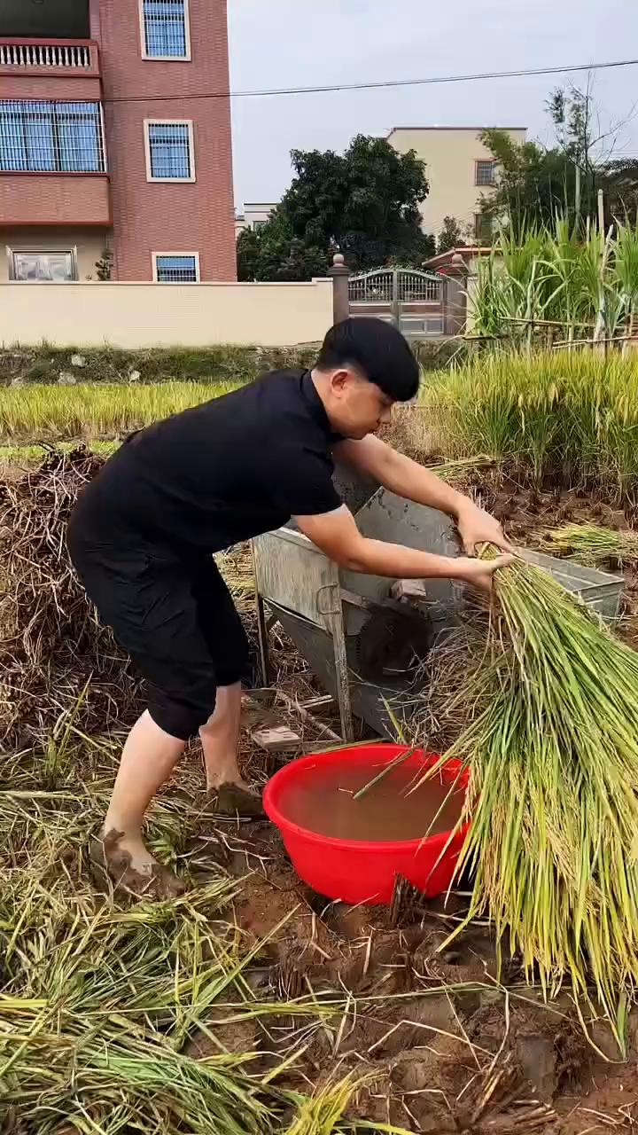 哈哈哈。