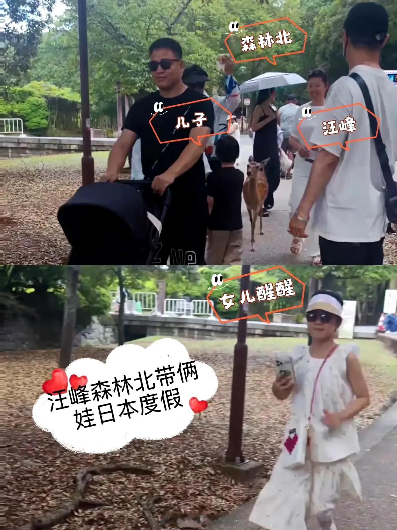 镜头没对准明星光环，只捕捉到日本街头的细碎温暖：汪峰弯腰帮孩子系鞋带，森林北牵着