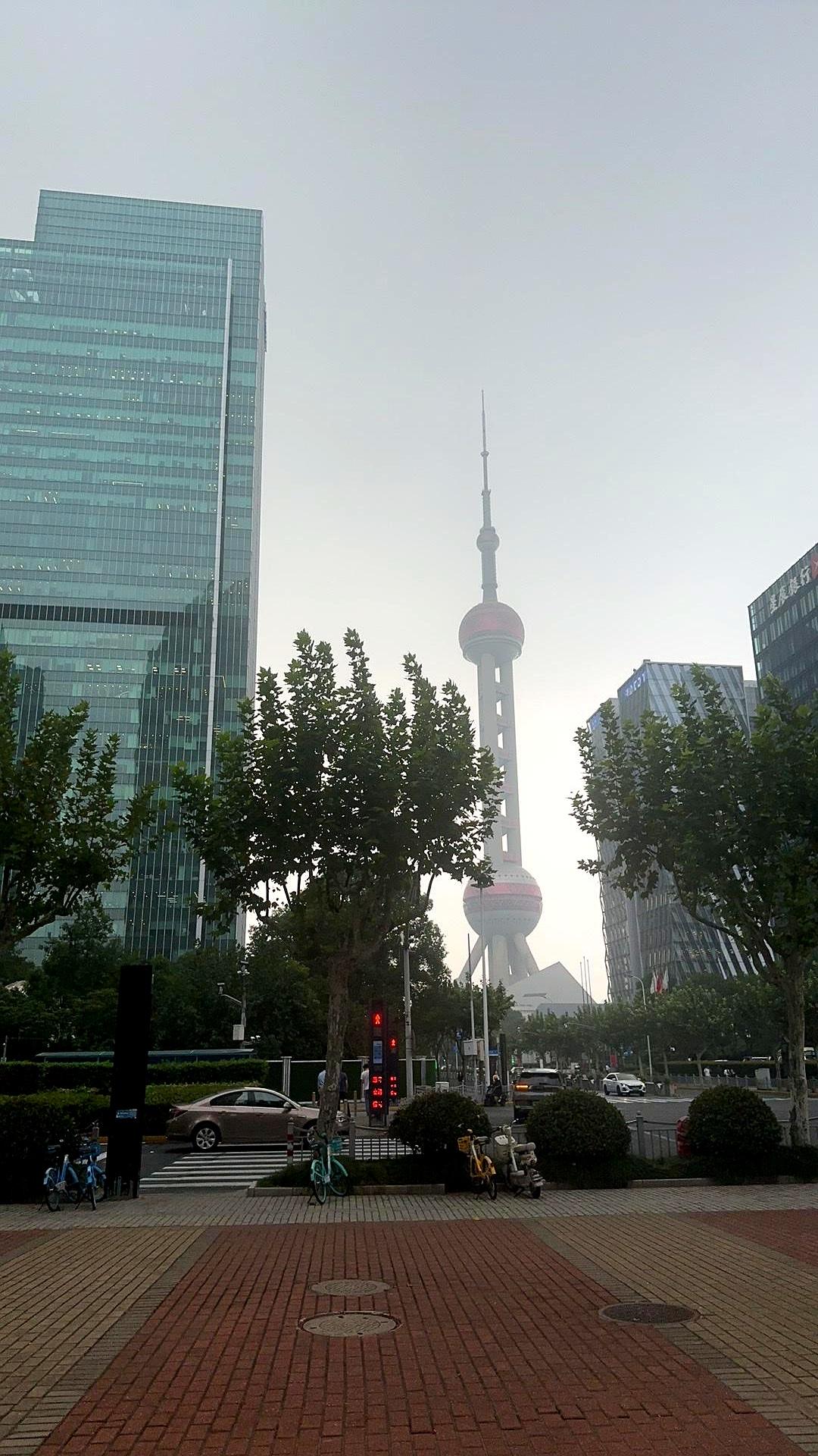 一个挺少见的信号出来了，顶级外资研究机构开始对中国消费行业“收手”了。
伯恩斯坦