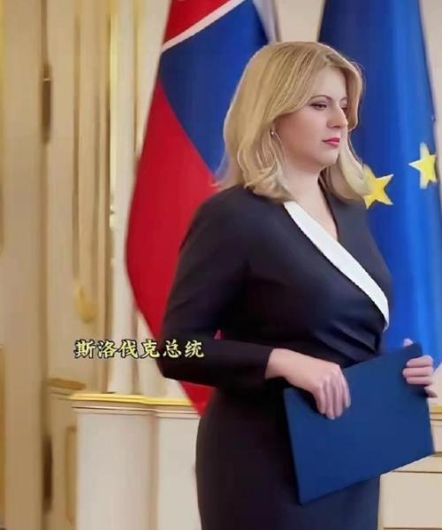 要说现在世界上哪个女总统最让人佩服，那得是恰普托娃，她这美啊，不光是长得好看，更