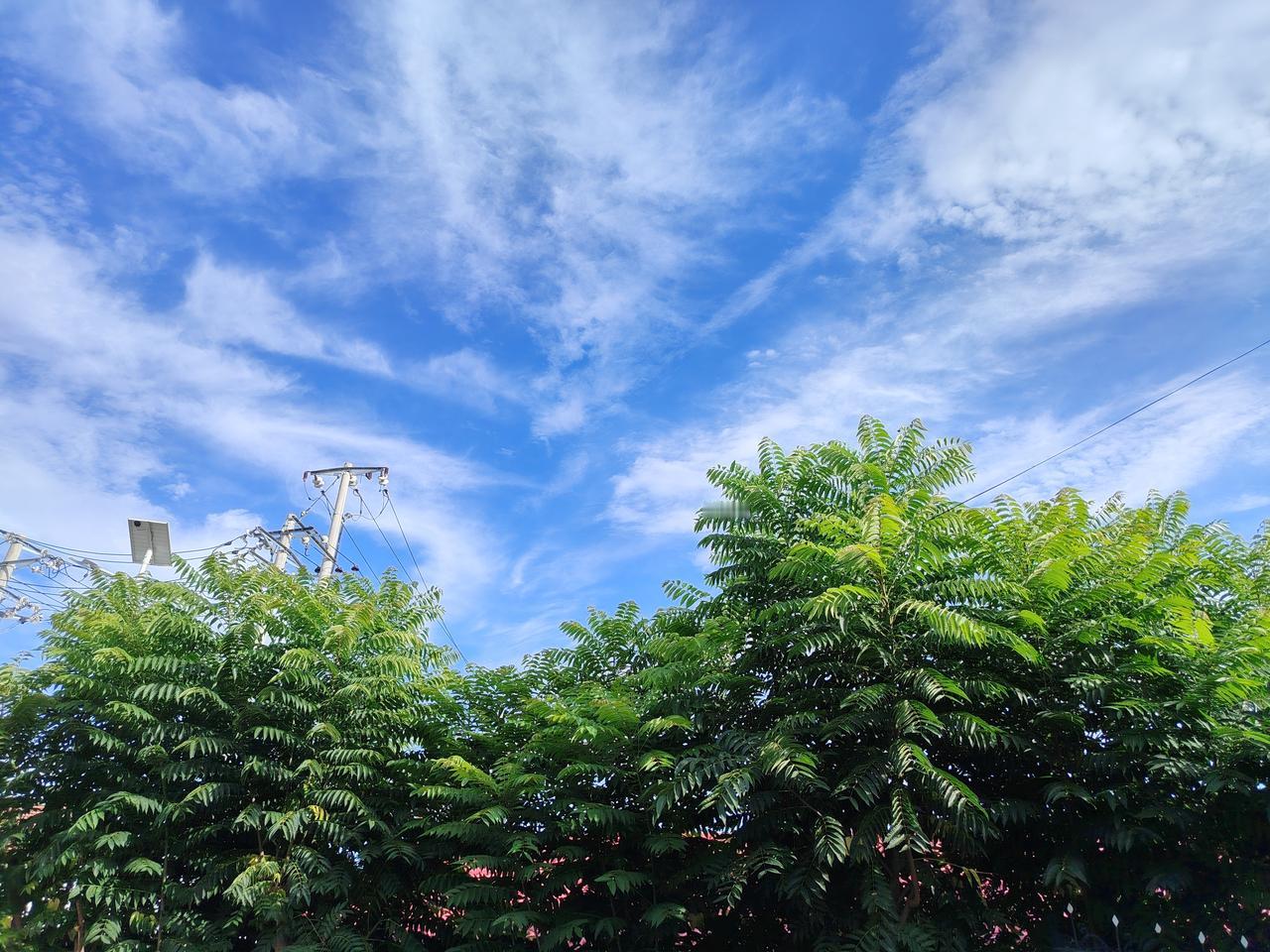 晒图笔记大赛夏日的热烈，不是催促，而是提醒：生命本该如此，全力以赴，不留余地地热