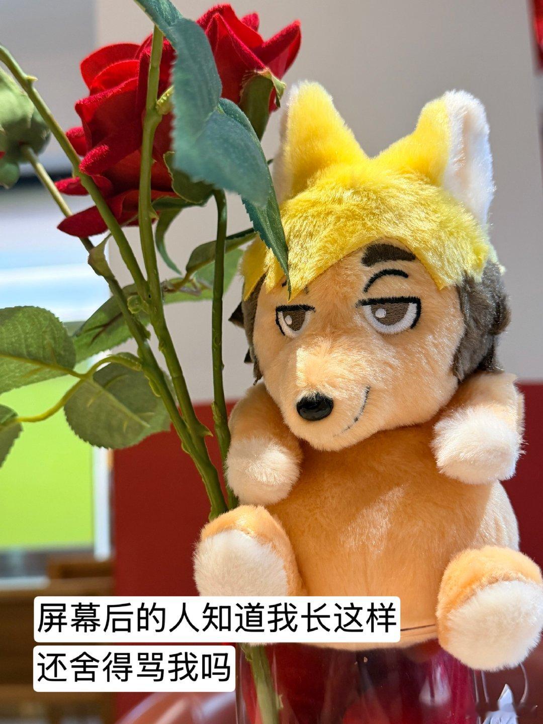 狐狸家今天的饭 仙狐下凡 ​​​