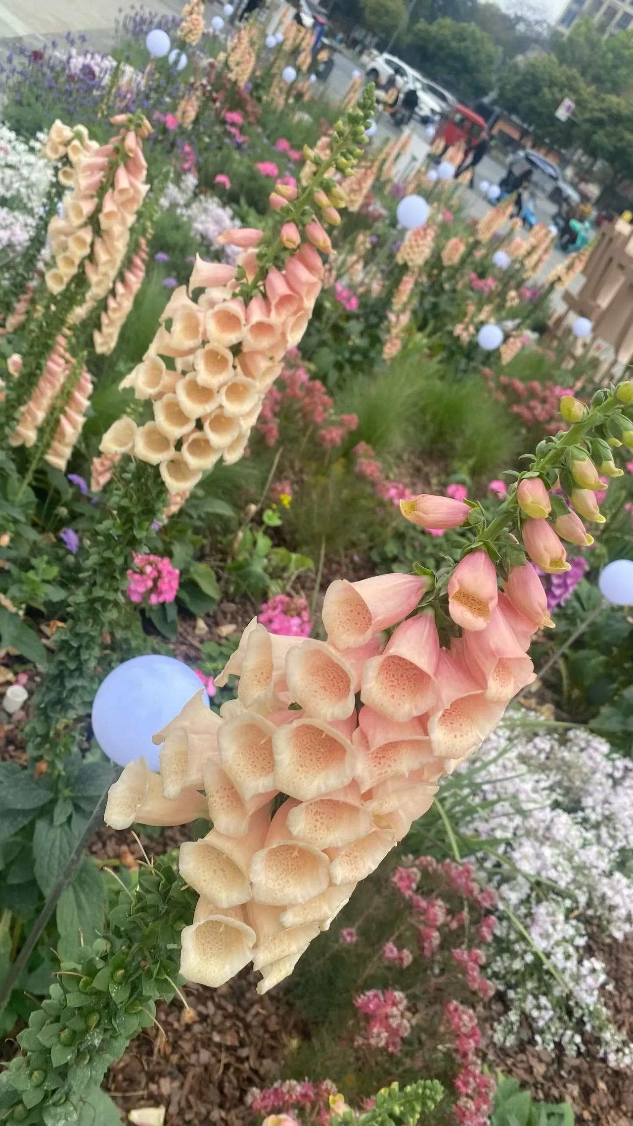 不管别人咋样，咱都得把自己疼好了
 
姐妹们，今儿咱掏心窝儿聊句实在话：人这一辈