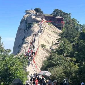 平平无奇聊情感