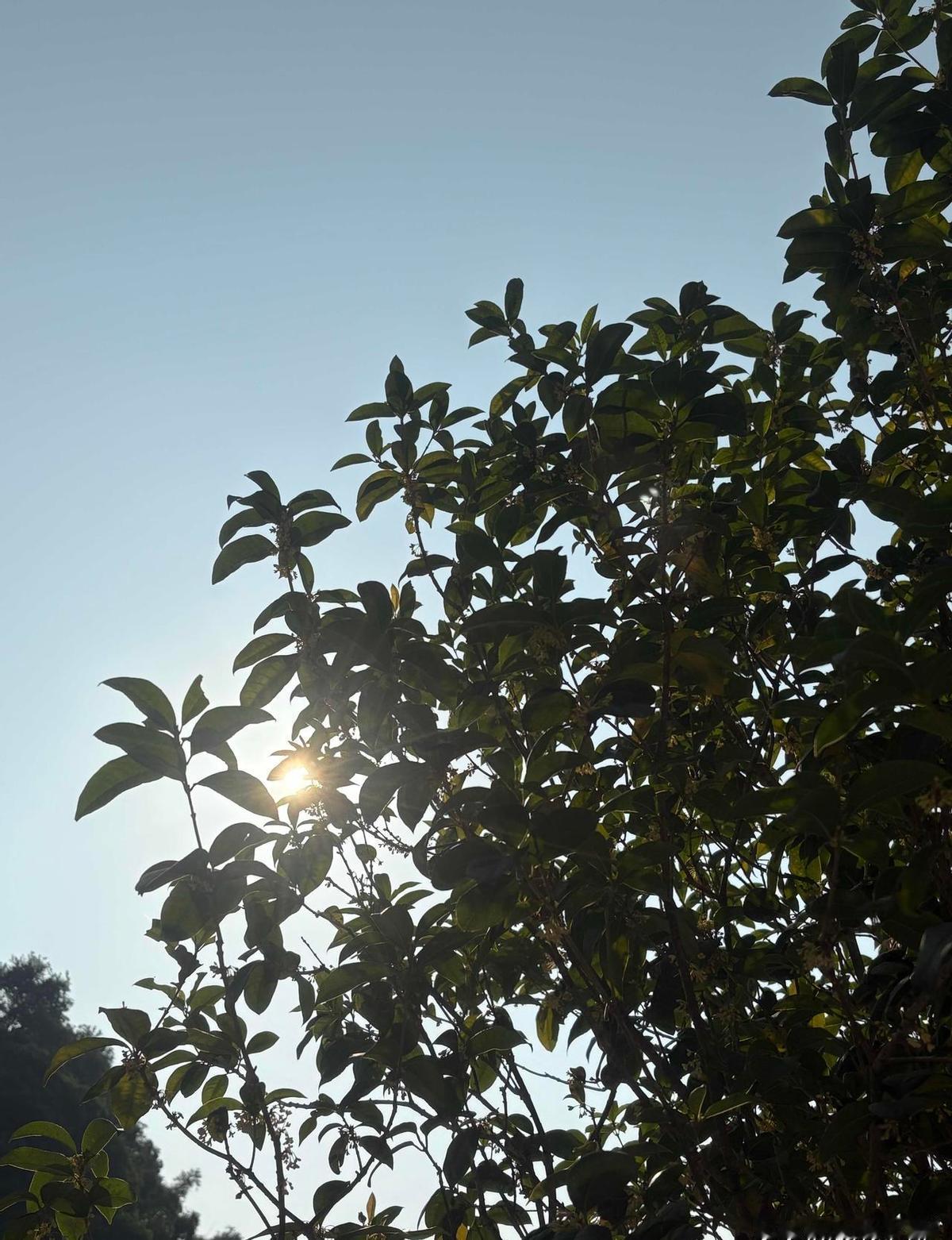 别被网上遍地的“人均年薪百万”洗脑了，国家统计局的数据直接撕开了遮羞布，原来真正