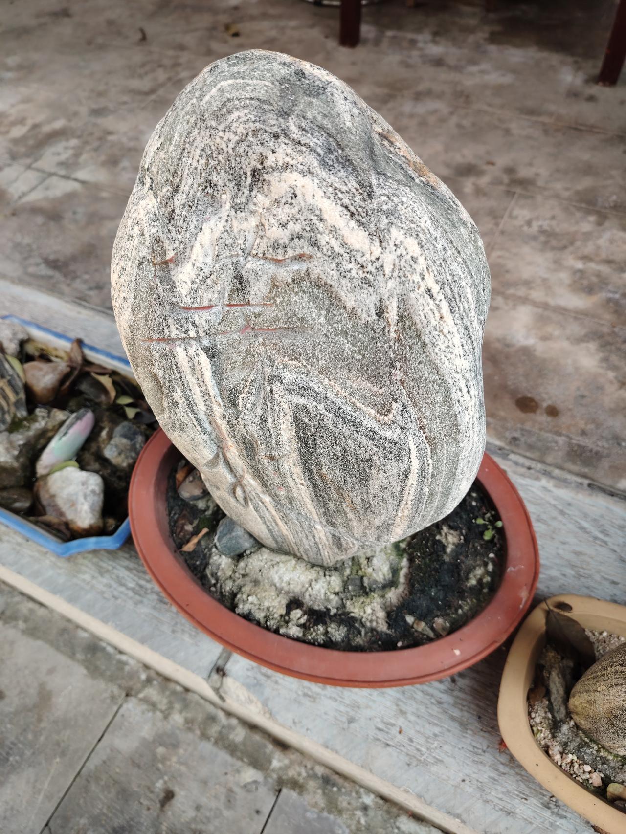 我的老伴从渼陂湖保洁公司离职两个月了，一直没有找到工作，生活很寂寞聊，无所寄托。