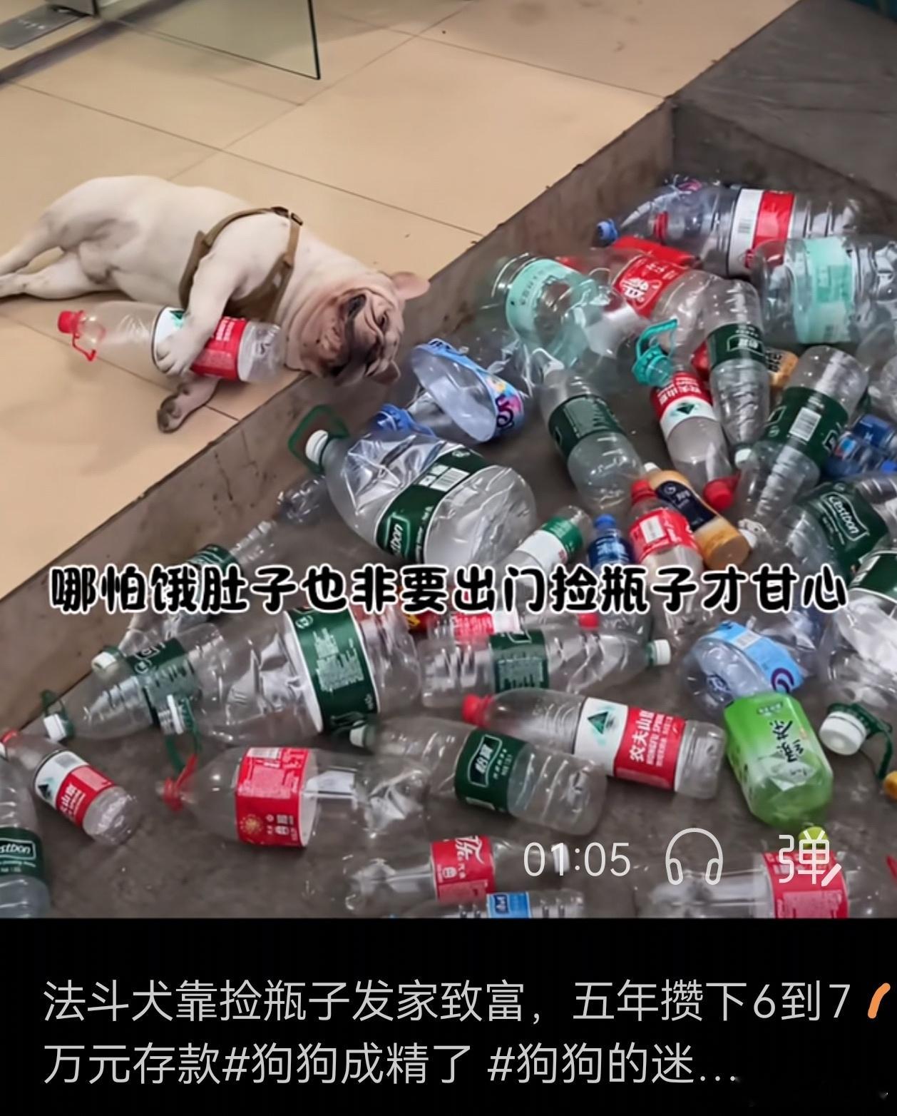 宽窄观察 以下对话是我们和一个教育界朋友关于教育价值偏差问题与就业问题的对话——