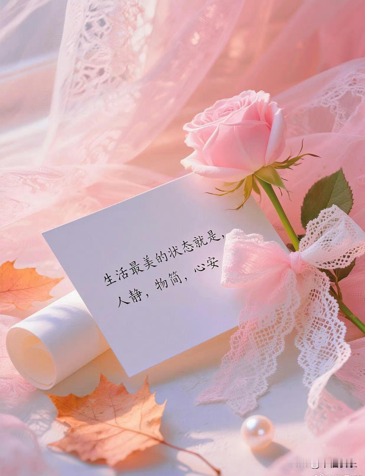 2025.12.23
周二，快乐，好运！