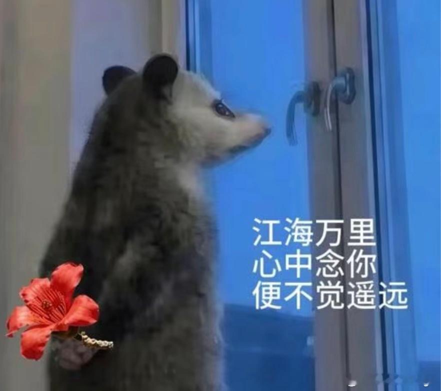 红包预告周四晚上20:00记得来领取铁粉红包，记得打铁～～打铁～～打铁！！！ 