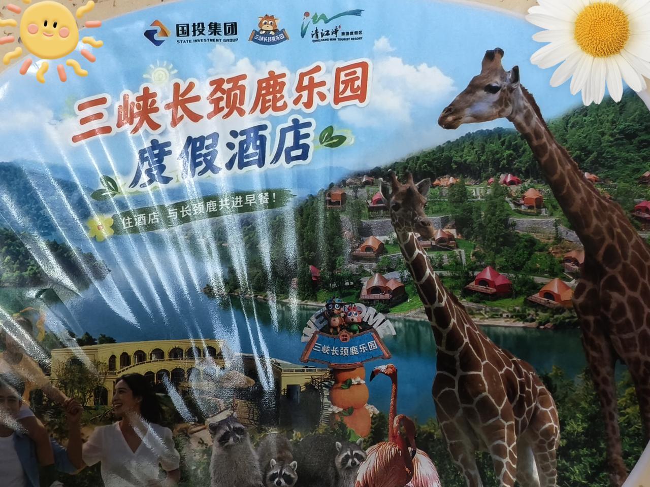 宜昌有一个长颈鹿乐园！
在那里，住酒店可与长颈鹿共进早餐！
在那里，可萌宠互动，