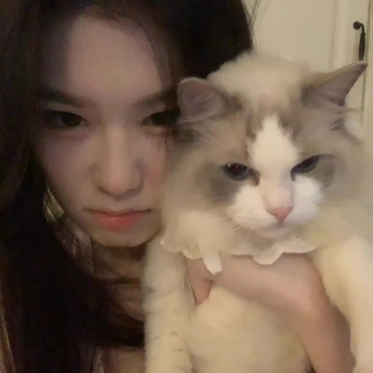 和小猫＞𐋣＜