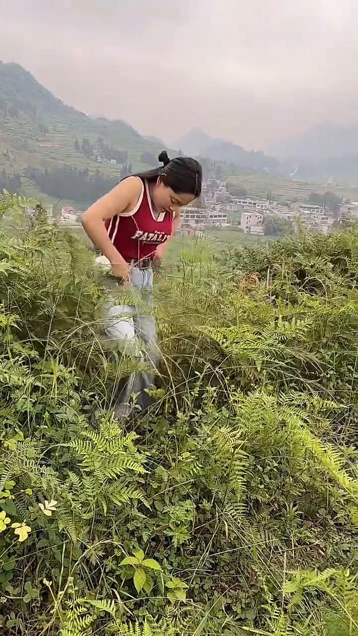 哎呦我的妈，哈哈。