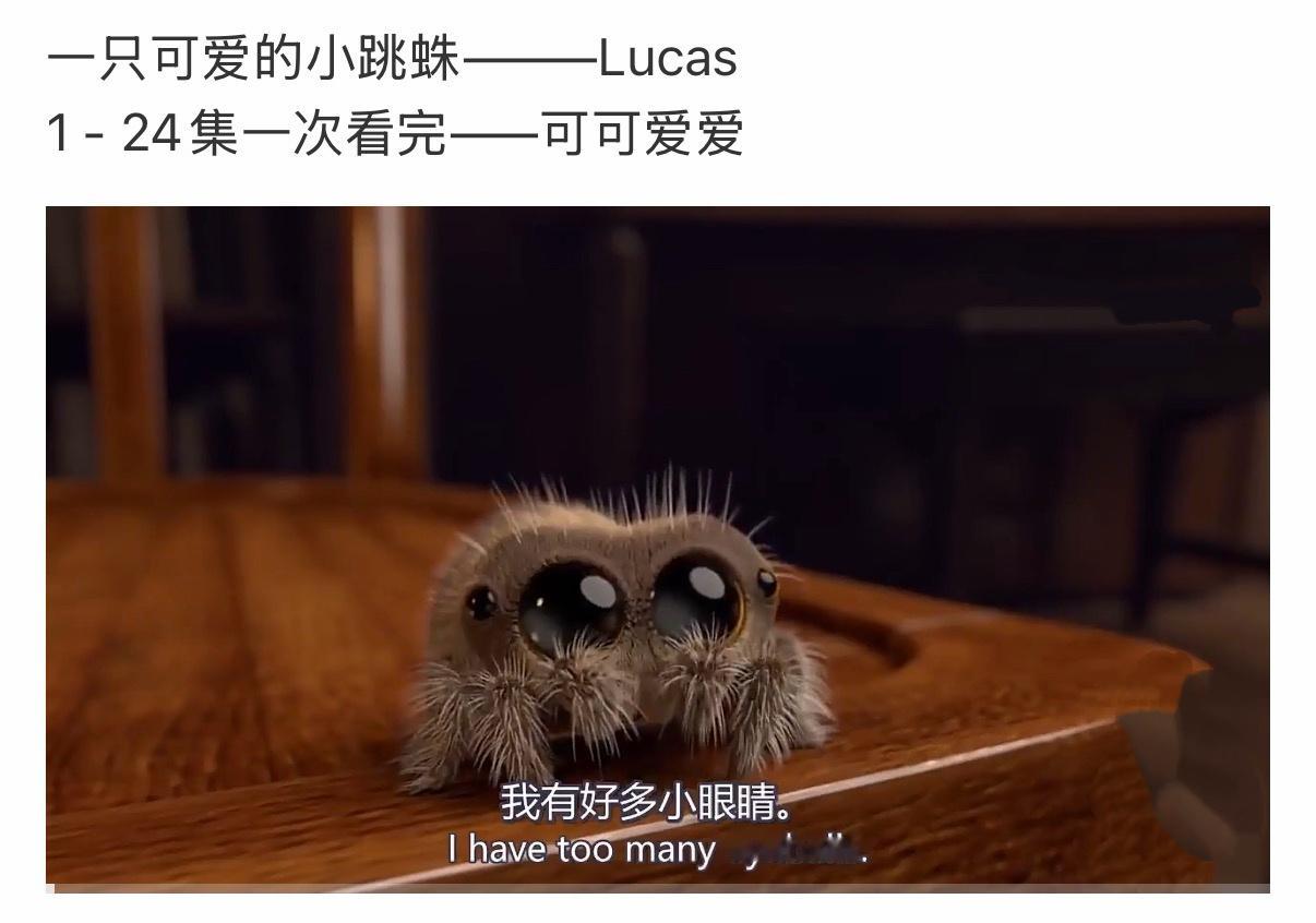 镜头好像跳蛛的眼睛，很可爱买它≈拥有小跳蛛