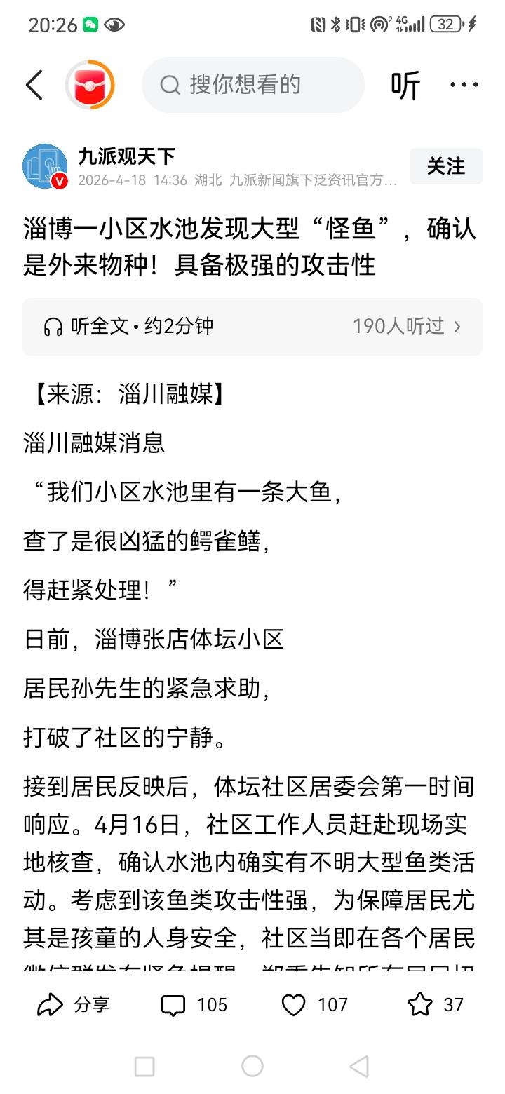 近些年来，在中国的各地的水流里发现了鳄雀鳝这种外来物种，如果是养鱼爱好者把他带来
