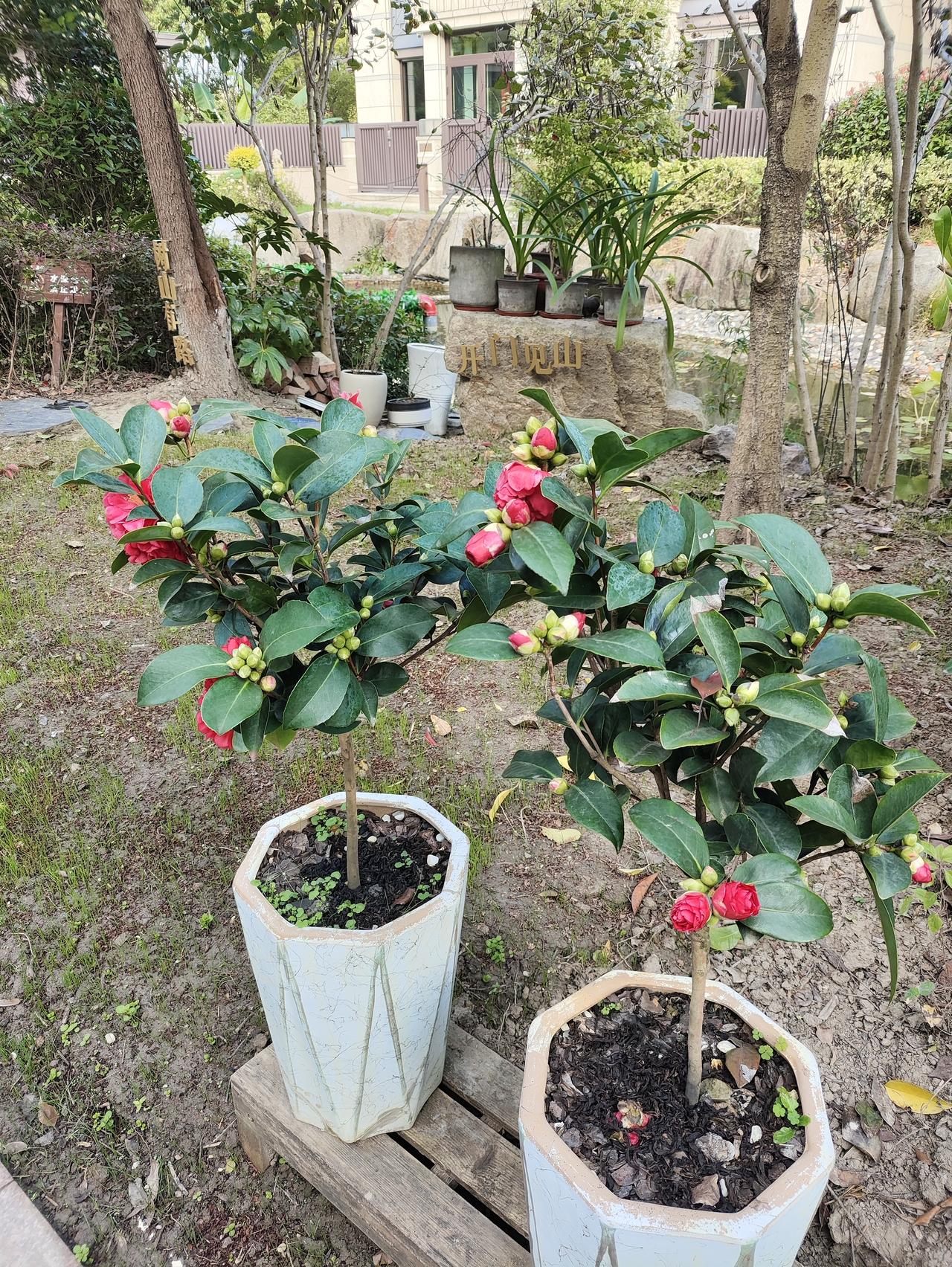 邻居里面的高人谢先生

邻居老谢今年刚刚50出头，仅仅比我儿子大几岁，自己搞的企