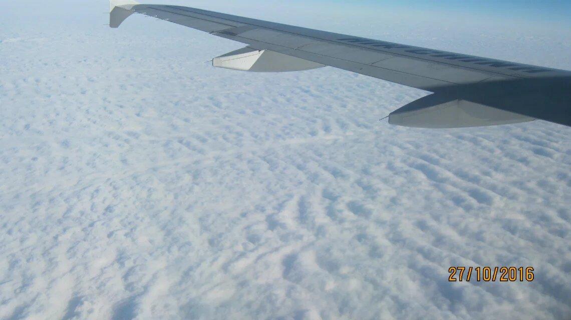 分享一张相册里随手拍的天空这是2016年，我和老伴去云南旅游，在飞机上拍的。飞机