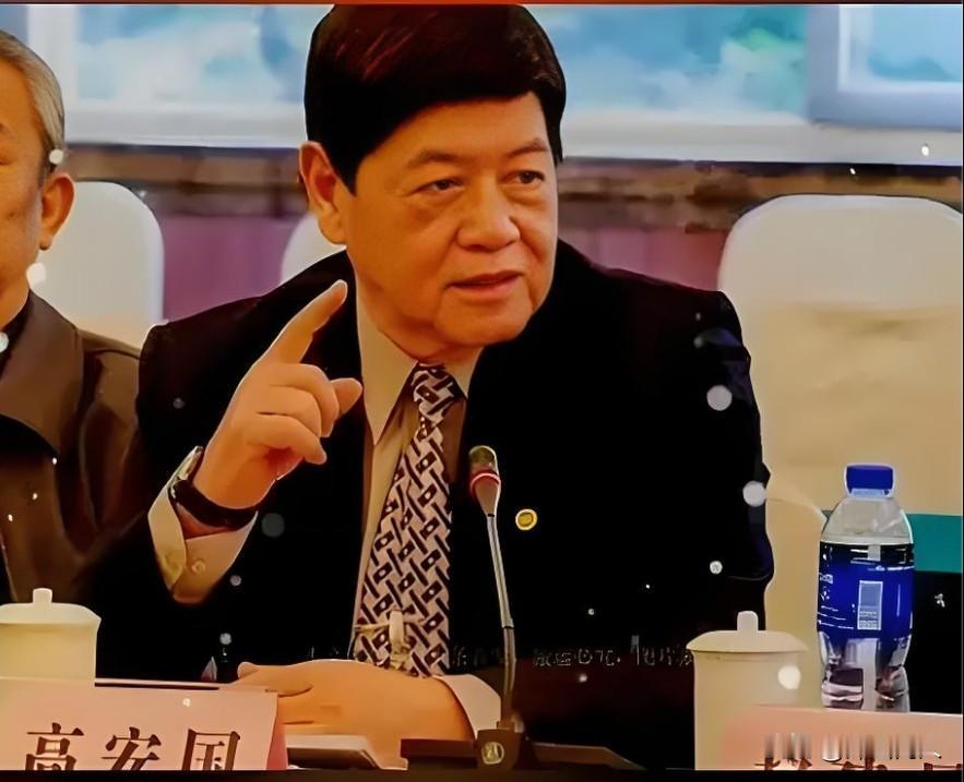 反独大将高安国
据台网消息，反独大将高安国将军被台法院以通共、接受中共资助谋叛为