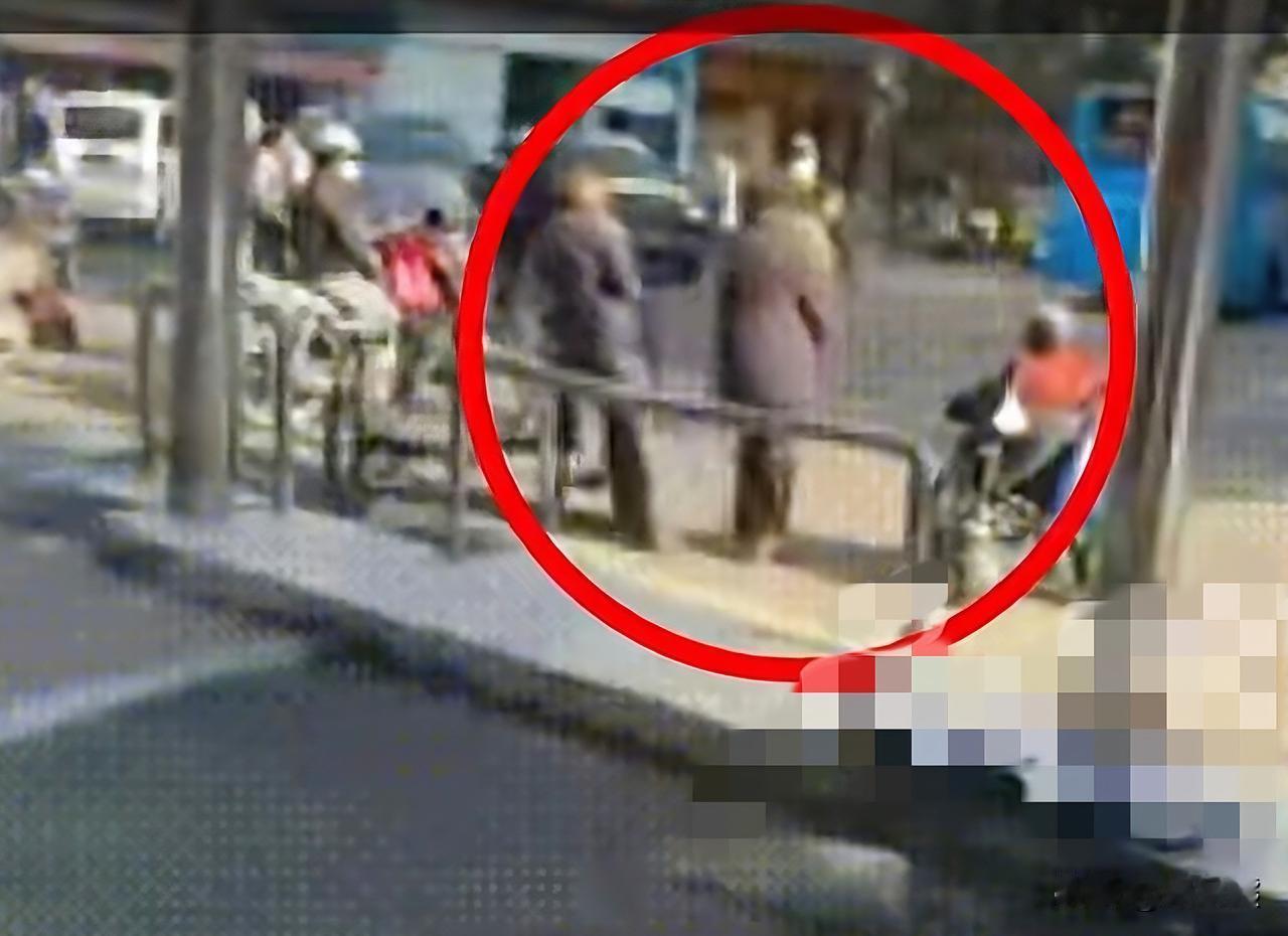 这一撞，真捅了个大篓子！

老人走了，那个姓郑的队员估计这会儿肠子都悔青了。
