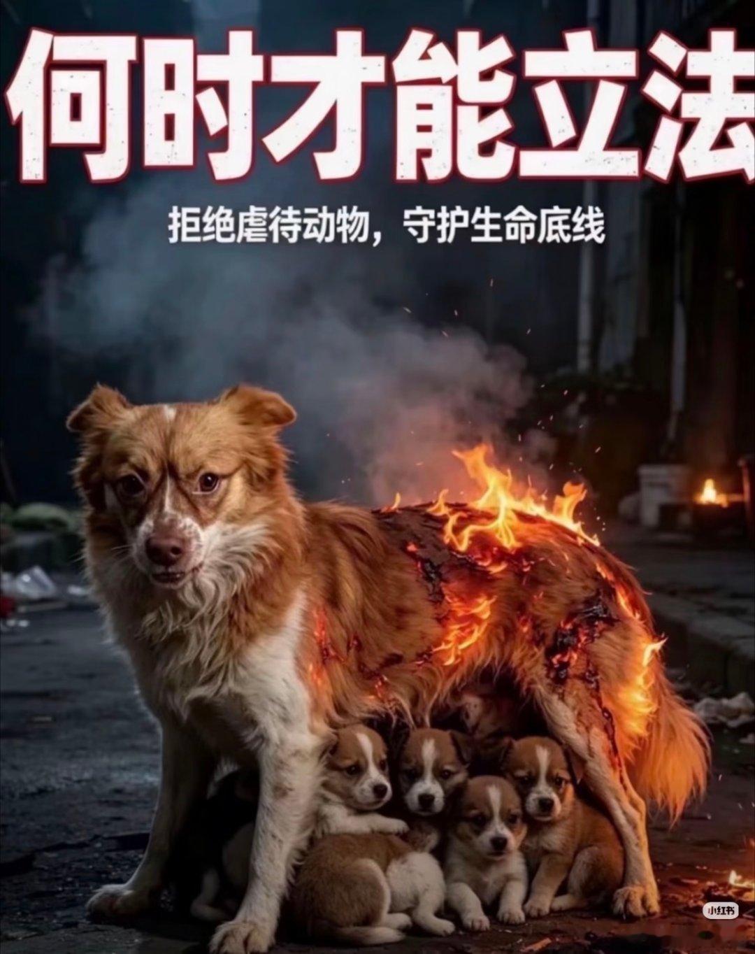 广东揭阳4名孩童虐杀狗妈妈一家视频里的恶魔小孩一直喊“好香，卧槽……好香”这真的