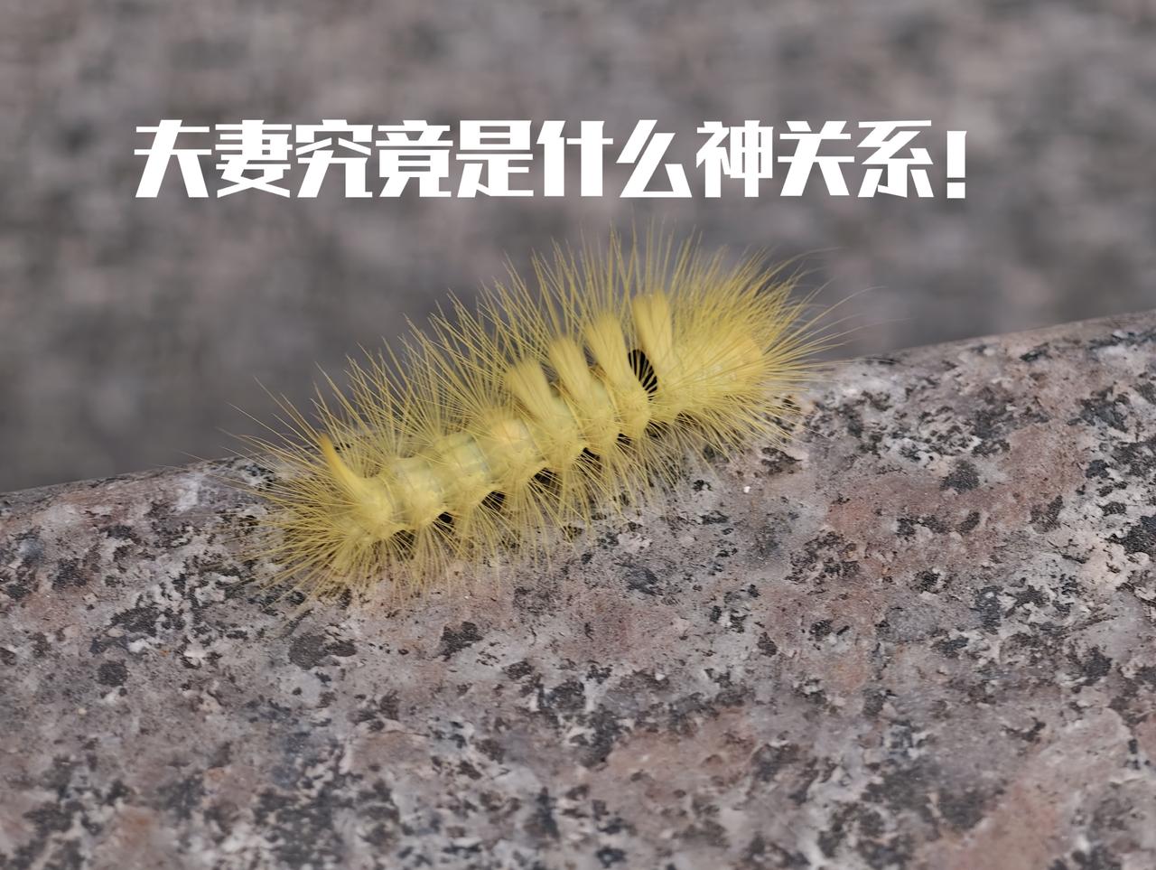 我说我气血不足，
老公总是说我是缺少锻炼
建议我要去健身～～
看起来，这个老公出