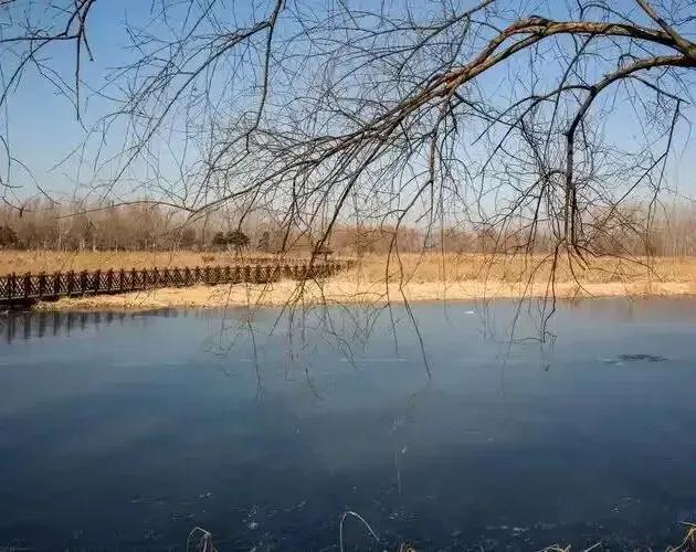 天际悠悠韵意长，余音袅袅入心房。
情如骤雨湿千念，梦似流星落远方。
寂寞空留画里